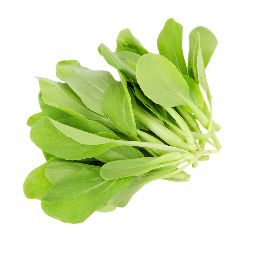 细菜